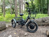 Электровелосипед GREEN CITY e-ALFA Trike (серебристый) - Фото 17