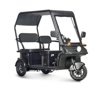 Wanshida NIPLA 570 60V 1000Вт